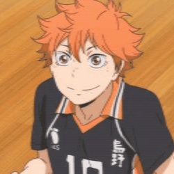 Shoyo Hinata